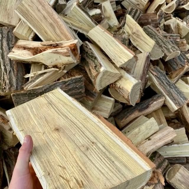 A freshly split piece of kiln-dried hardwood held up at the yard