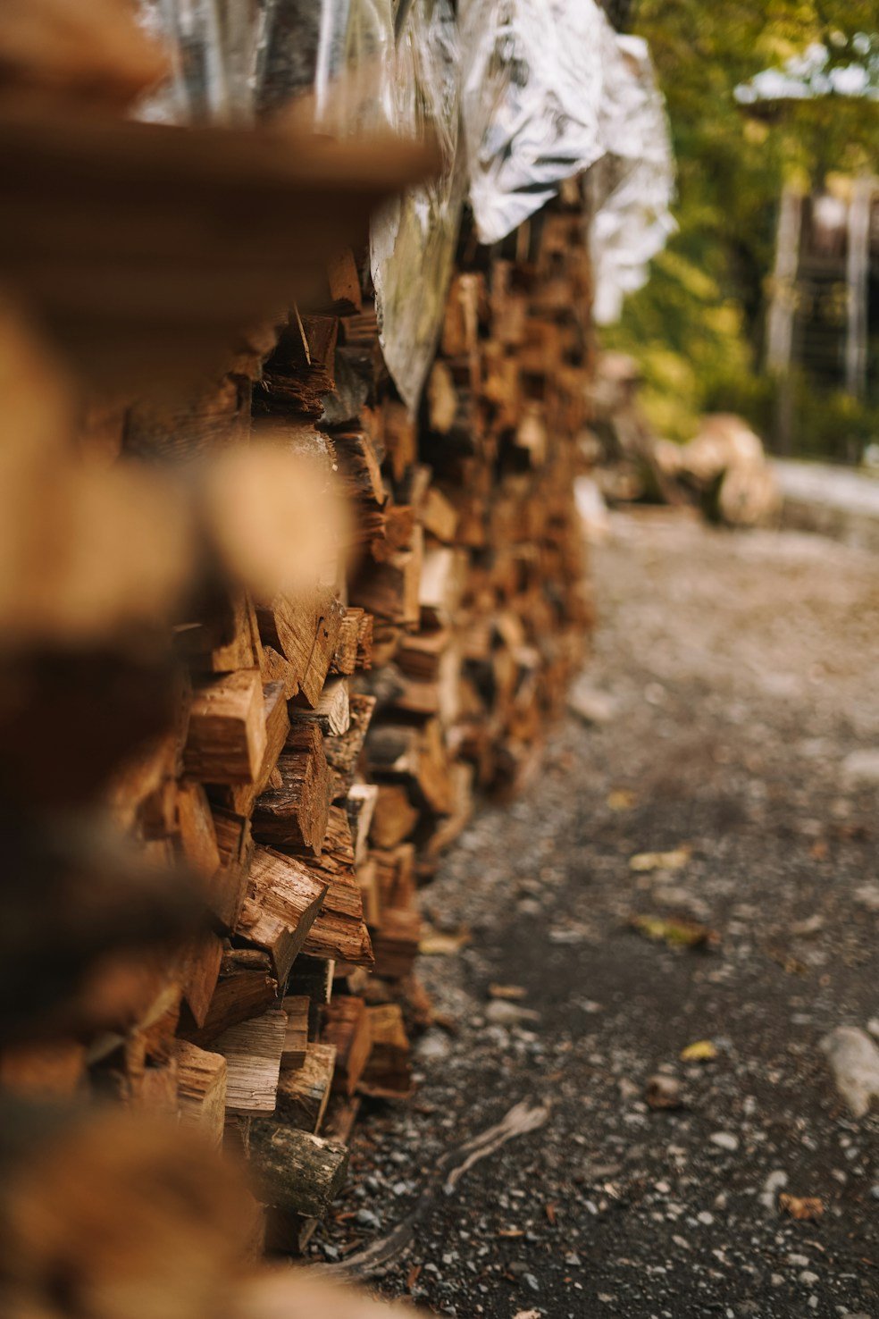 Tall stack of split firewood beside the yard path